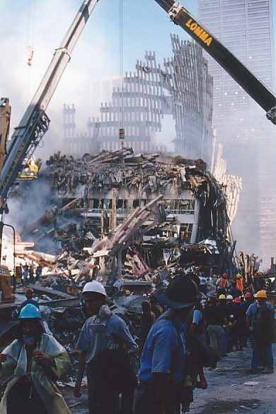 19cranesonlibertyst.jpg
