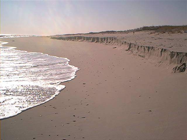 Beach erosion at low tide. Island Beach State Park. Jan. 2002
