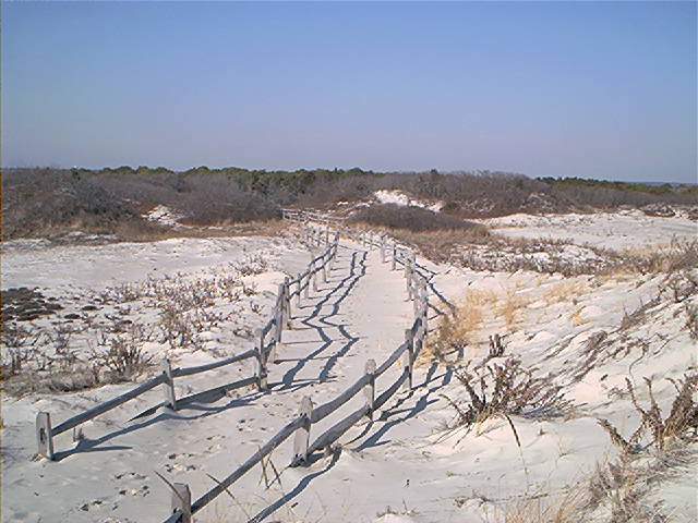 Island Beach State Park. Jan. 2002